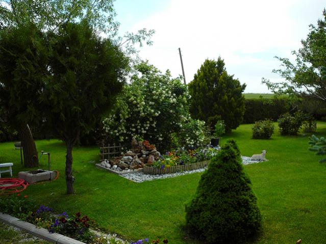 Name:  d12.jpg
Views: 816
Size:  56.2 KB