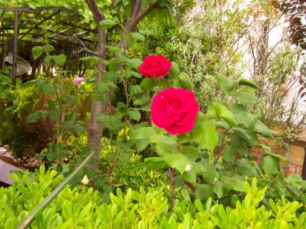 Name:  100_1418.jpg
Views: 753
Size:  71.8 KB