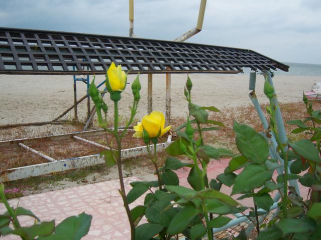 Name:  100_1432.jpg
Views: 750
Size:  51.9 KB