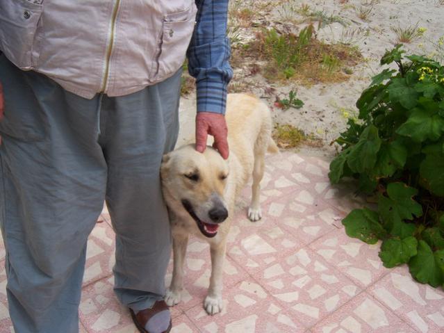 Name:  100_1440.jpg
Views: 727
Size:  46.4 KB