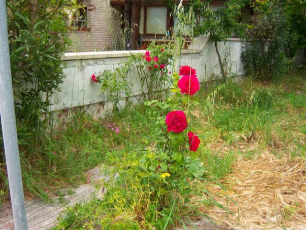 Name:  100_1441.jpg
Views: 752
Size:  71.8 KB