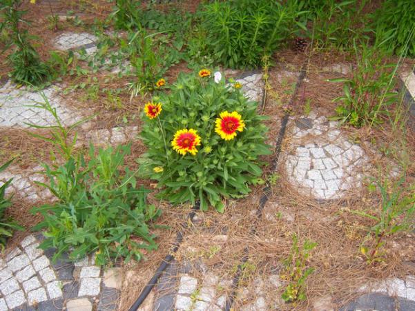 Name:  100_1443.jpg
Views: 733
Size:  72.3 KB