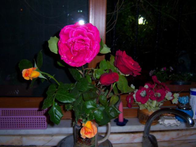 Name:  100_1473.jpg
Views: 748
Size:  36.9 KB