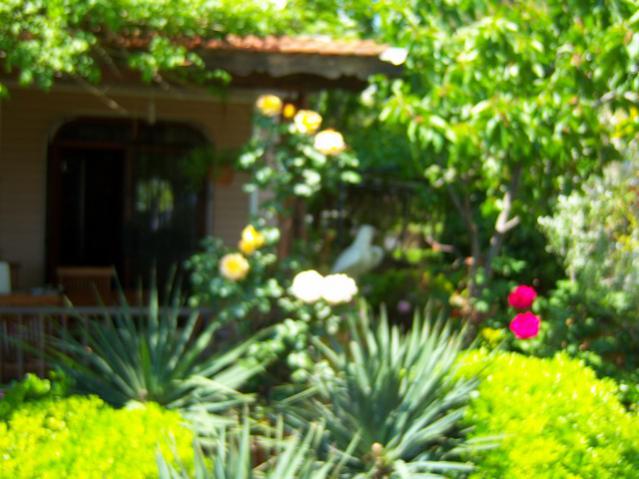 Name:  100_1476.jpg
Views: 702
Size:  50.0 KB