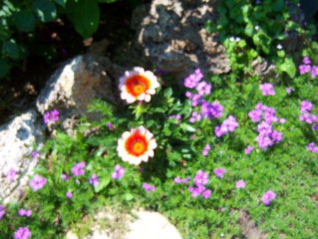 Name:  100_1478.jpg
Views: 687
Size:  57.1 KB