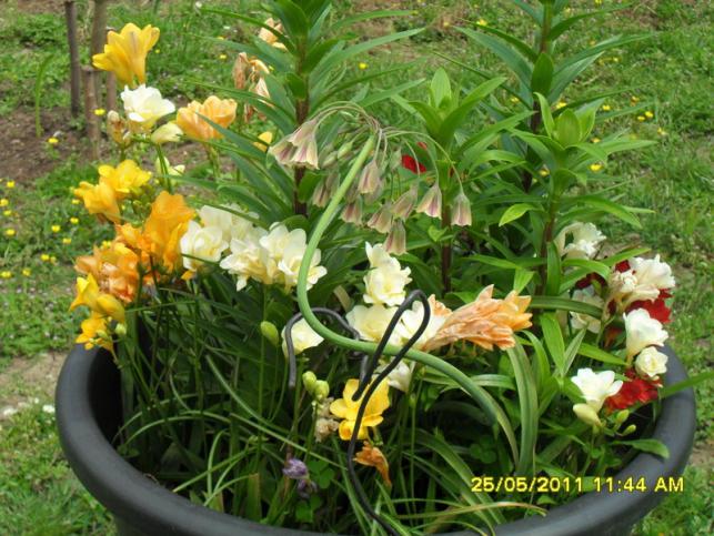 Name:  016.jpg
Views: 765
Size:  70.9 KB