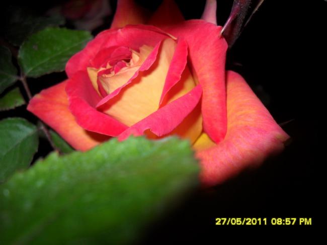 Name:  023.jpg
Views: 742
Size:  26.2 KB