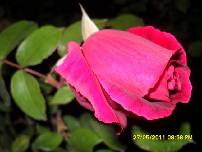 Name:  026.jpg
Views: 732
Size:  32.2 KB
