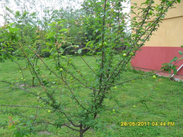 Name:  131.jpg
Views: 731
Size:  71.1 KB