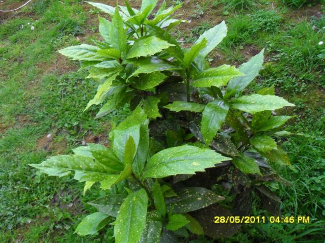 Name:  134.jpg
Views: 773
Size:  70.2 KB