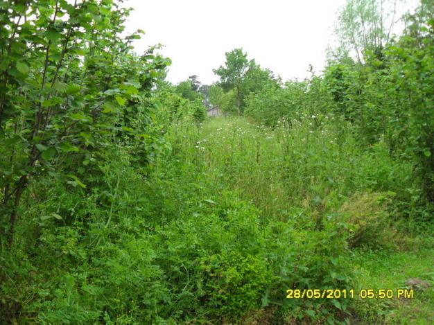Name:  140.jpg
Views: 757
Size:  70.9 KB