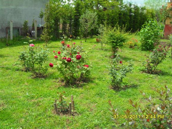 Name:  072.jpg
Views: 849
Size:  71.2 KB