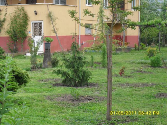 Name:  120.jpg
Views: 764
Size:  66.0 KB