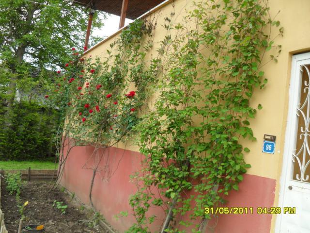 Name:  103.jpg
Views: 871
Size:  70.2 KB
