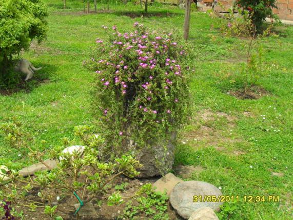 Name:  063.jpg
Views: 712
Size:  71.6 KB