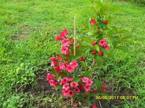 Name:  020.jpg
Views: 830
Size:  73.2 KB