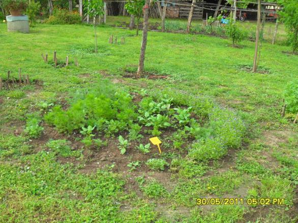 Name:  024.jpg
Views: 743
Size:  71.3 KB