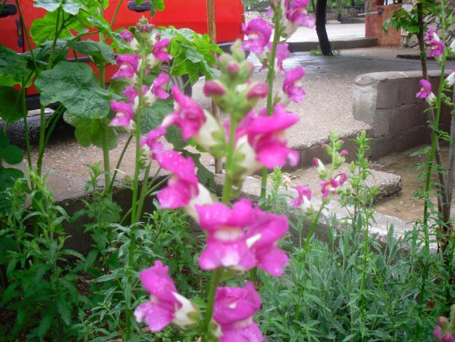Name:  SDC12052 copy.jpg
Views: 597
Size:  69.4 KB