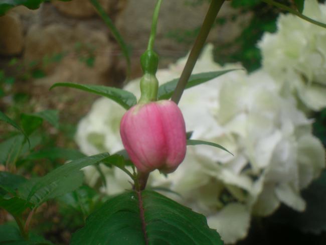 Name:  SDC12066 copy.jpg
Views: 578
Size:  27.1 KB