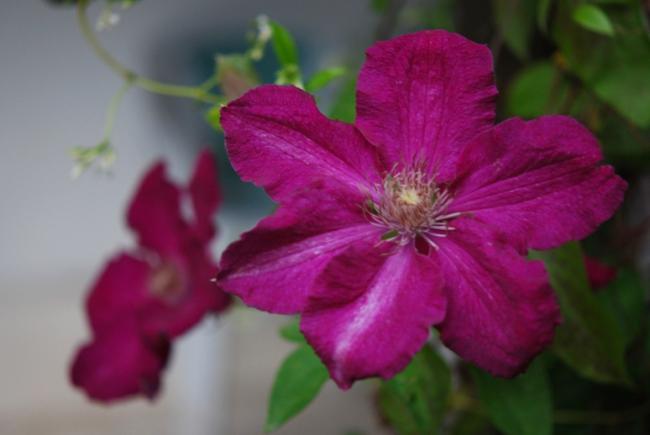 Name:  DSC_0427.jpg
Views: 1024
Size:  25.5 KB