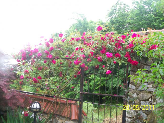 Name:  Gl 72.jpg
Views: 1003
Size:  68.0 KB