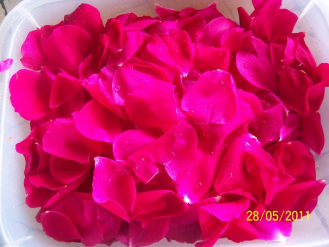 Name:  reel 6.jpg
Views: 960
Size:  38.4 KB