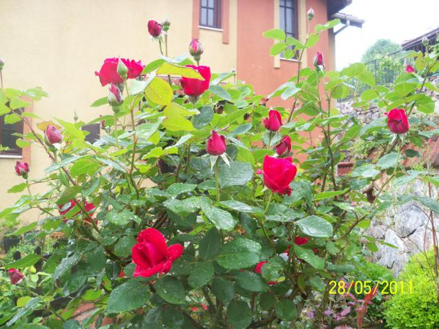 Name:  Gl 12.jpg
Views: 970
Size:  70.6 KB