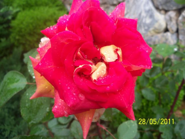Name:  Gl 2.jpg
Views: 881
Size:  38.2 KB
