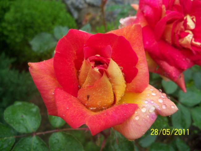 Name:  Gl 3.jpg
Views: 901
Size:  36.3 KB