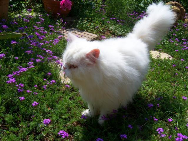 Name:  100_1484.jpg
Views: 616
Size:  66.2 KB
