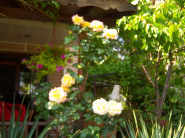 Name:  100_1487.jpg
Views: 625
Size:  44.7 KB