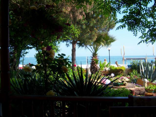Name:  100_1491.jpg
Views: 711
Size:  60.9 KB