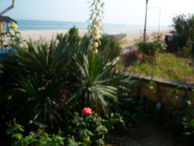 Name:  100_1503.jpg
Views: 604
Size:  33.6 KB