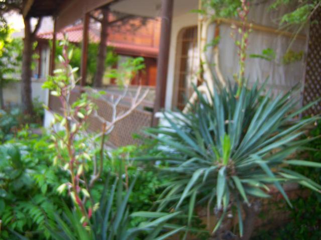 Name:  100_1506.jpg
Views: 604
Size:  44.5 KB