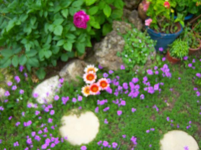 Name:  100_1525.jpg
Views: 854
Size:  46.3 KB