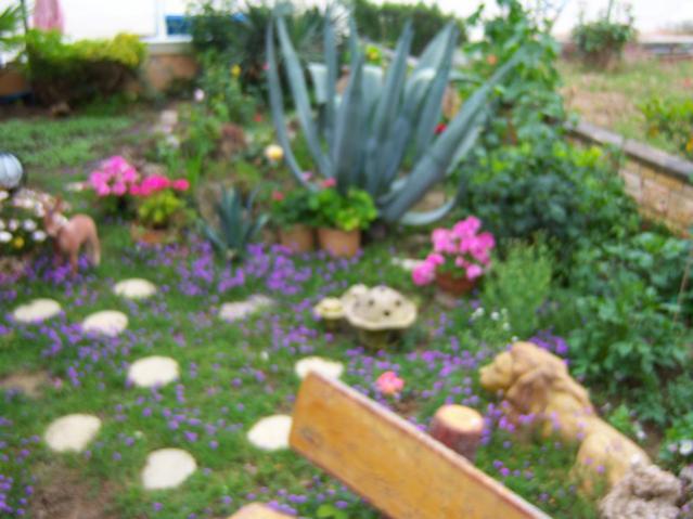 Name:  100_1527.jpg
Views: 765
Size:  44.8 KB