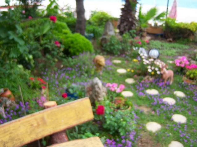 Name:  100_1528.jpg
Views: 805
Size:  44.3 KB