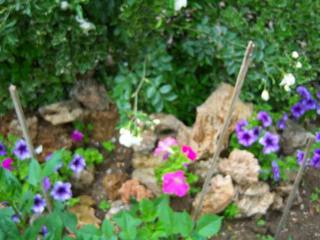 Name:  100_1548.jpg
Views: 592
Size:  49.8 KB