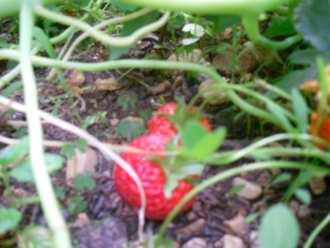 Name:  SDC12172 copy.jpg
Views: 563
Size:  43.5 KB