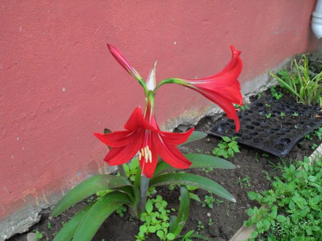 Name:  001.jpg
Views: 636
Size:  50.2 KB
