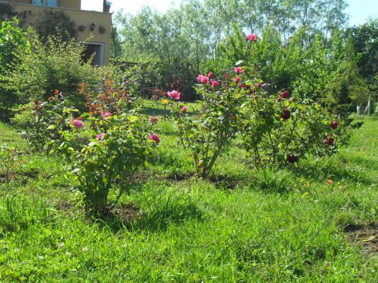 Name:  038.jpg
Views: 643
Size:  72.6 KB