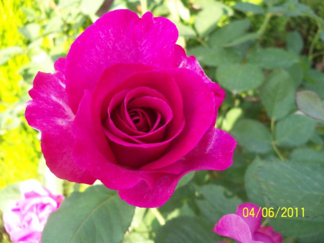Name:  GL 17.jpg
Views: 874
Size:  38.3 KB