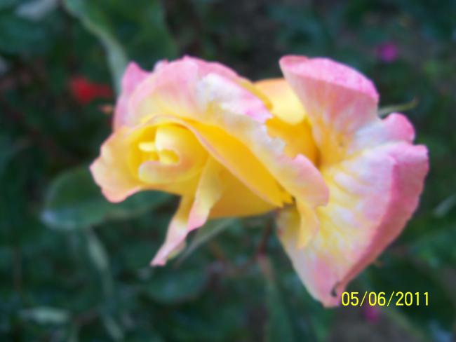 Name:  GL 29.jpg
Views: 809
Size:  24.6 KB