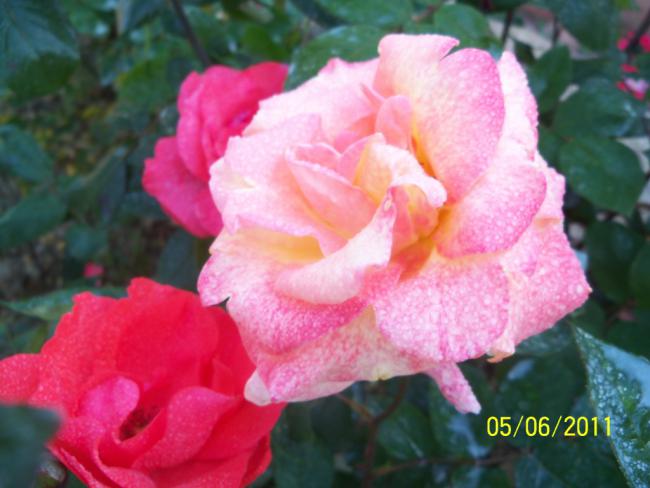 Name:  GL 32.jpg
Views: 848
Size:  39.3 KB