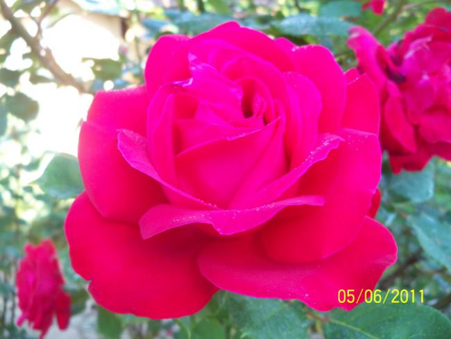Name:  GL 35.jpg
Views: 828
Size:  34.1 KB