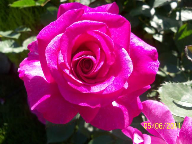 Name:  GL 40.jpg
Views: 836
Size:  44.4 KB