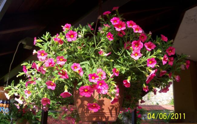 Name:  ASKI 1.jpg
Views: 893
Size:  57.8 KB