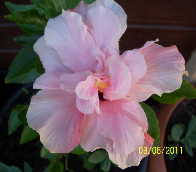 Name:  J.GL 1.jpg
Views: 879
Size:  34.1 KB