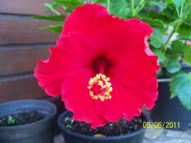 Name:  J.GL 4.jpg
Views: 883
Size:  31.4 KB