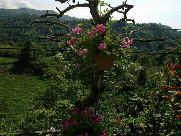 Name:  w3 009 (Byk).jpg
Views: 524
Size:  70.3 KB